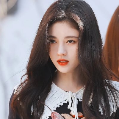 小姐与流浪汉